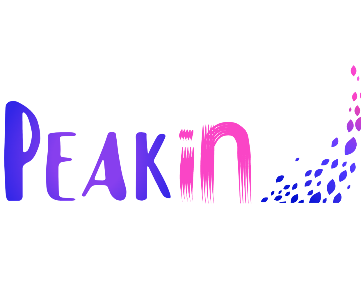 Peakin - Projet CPO S6
